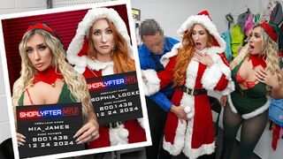 Mrs. Claus és csábító tündérsegédei elrabolnak, majd szenvedélyesen megbüntetnek