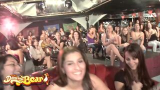 Táncoló medvék - vágykeltő stripperek és tűzforró cicák nyalják a hatalmas farkakat mohón